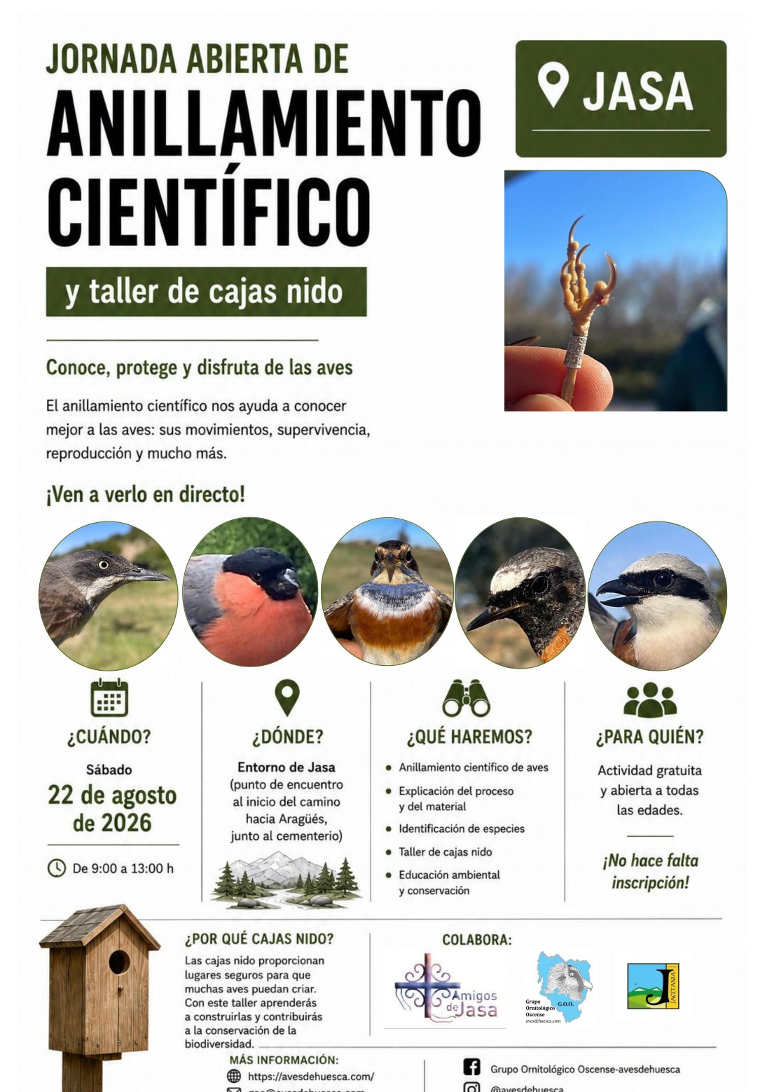 Cartel anillamiento